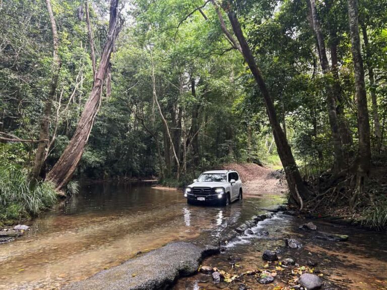Cairns: Forest and Waterfalls Half-Day 4WD Guided Adventure - What Sets This Tour Apart?