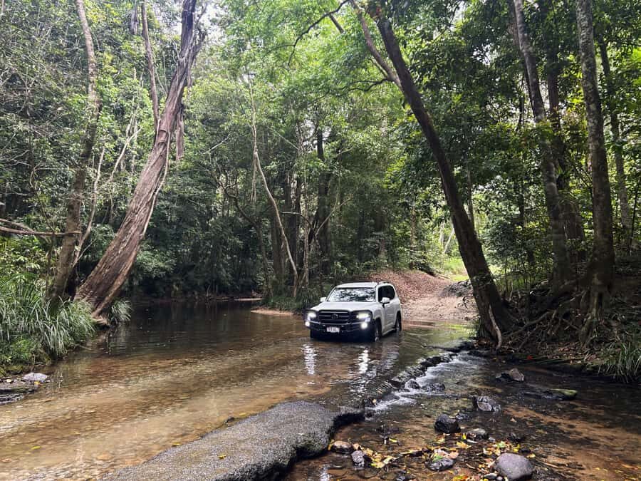 Cairns: Forest and Waterfalls Half-Day 4WD Guided Adventure - What Sets This Tour Apart?