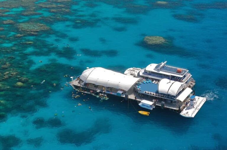 Cairns: Great Barrier Reef Cruise & 10 Minute Helicopter - What Travelers Say