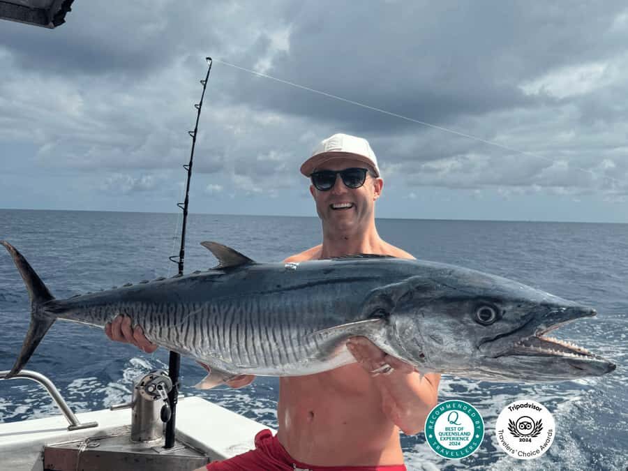 Cairns: Great Barrier Reef Fishing Charter with Lunch - The Value for Money