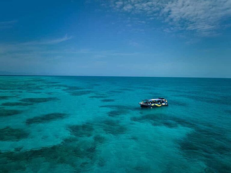 Cairns: Great Barrier Reef Half-Day Snorkelling Tour - The Itinerary Breakdown