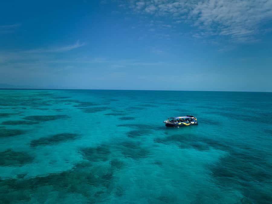 Cairns: Great Barrier Reef Half-Day Snorkelling Tour - The Itinerary Breakdown