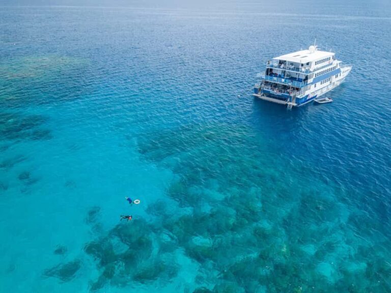 Cairns: Great Barrier Reef Overnight Snorkelling Boat Trip - What You Can Expect from the Trip