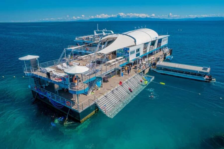 Cairns: Great Barrier Reef Pontoon with Water Activities - The Reef and Marine Life: What You’ll See and Learn
