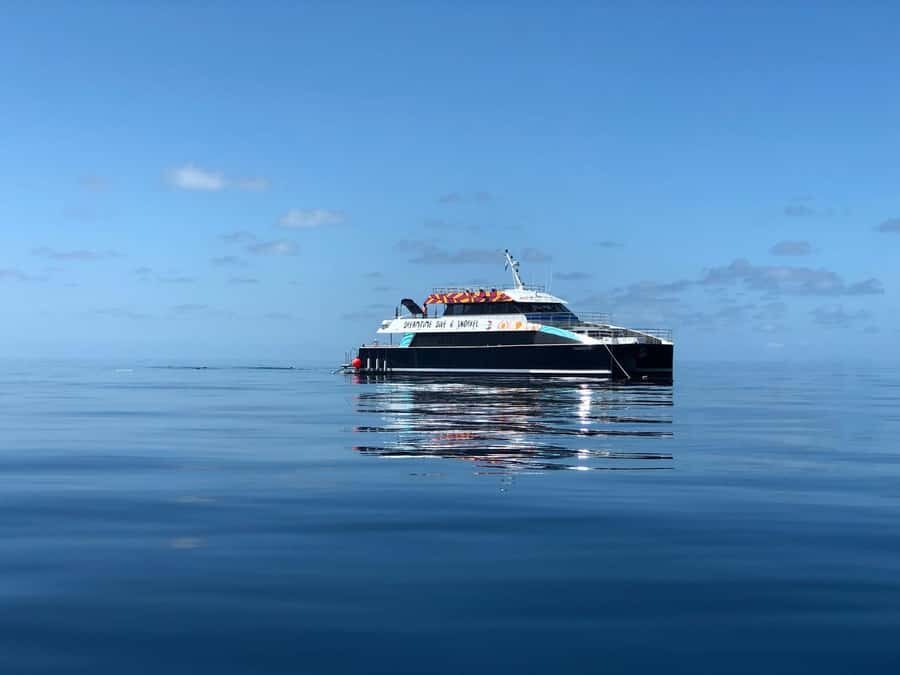 Cairns: Great Barrier Reef Premium Diving Full Day Tour - The Day in Detail