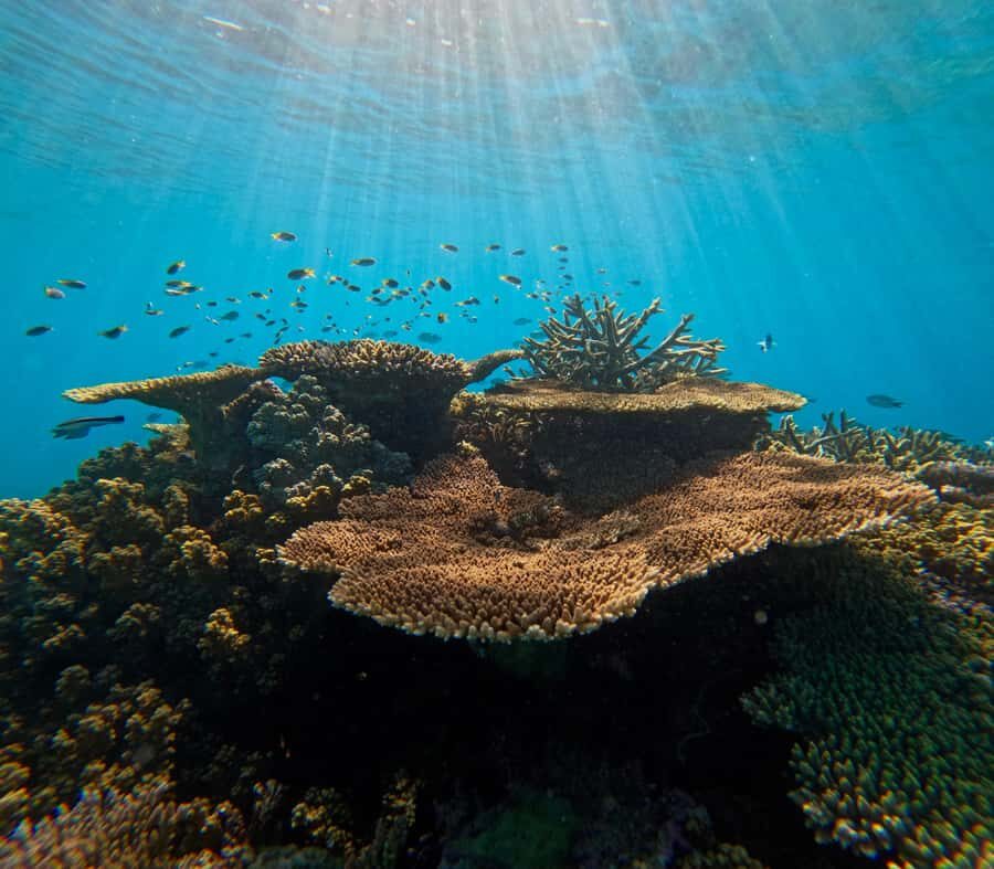 Cairns: Great Barrier Reef Snorkel and Scenic Flight - Final Thoughts