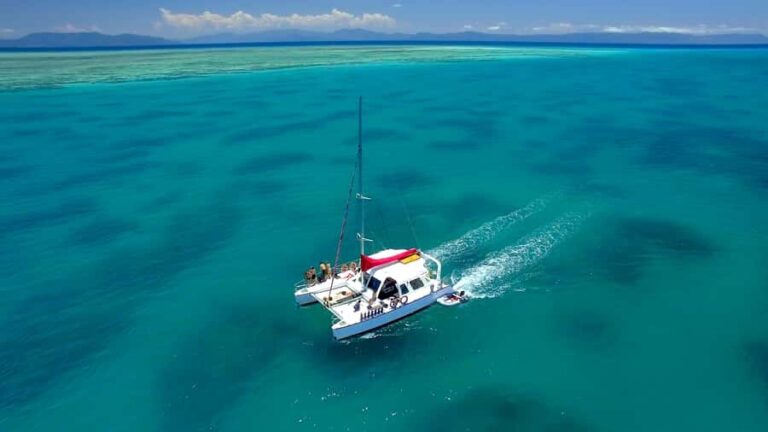 Cairns: Great Barrier Reef Snorkeling Tour with Lunch - Who Is This Tour Best Suited For?