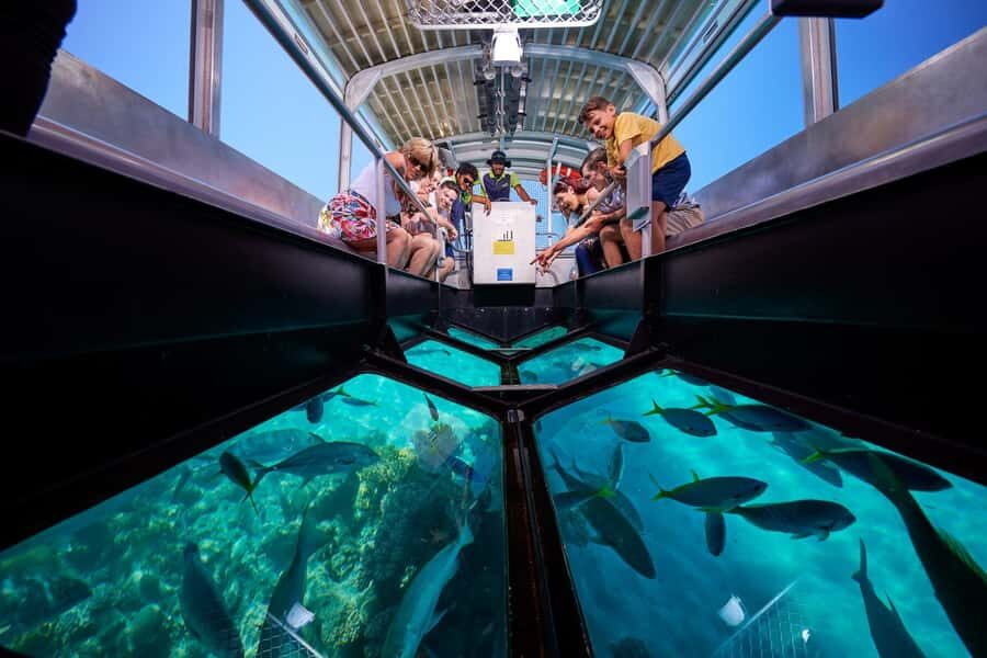 Cairns: Green Island Full-Day Tour with Diving - The Real Experience from Travelers