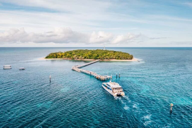 Cairns: Green Island, Snorkelling and Glass-Bottom Boat - What You Can Expect on This Tour