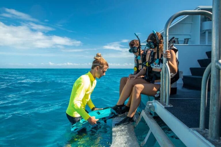 Cairns: Half-Day Outer Reef Snorkel Tour - Who Should Consider This Tour?