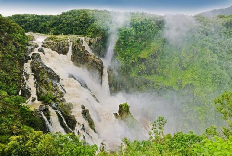 Cairns: Half-Day Premium 4WD Rainforest & Waterfall Tour - The Practical Side: What You Need to Know