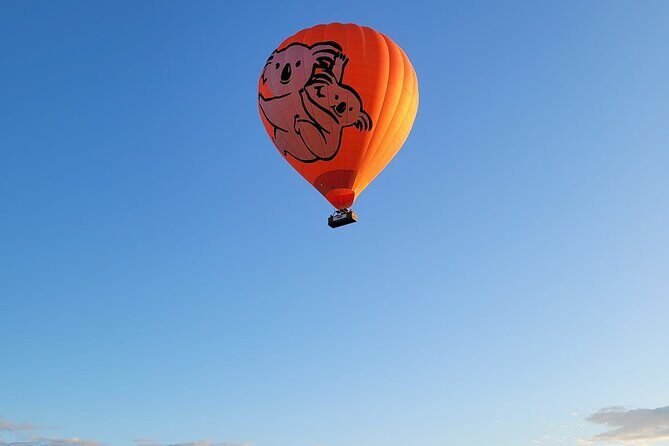 Cairns Hot Air Balloon Flight + Bad Fishy Jet Boating Cairns - The Itinerary Breakdown: What to Expect