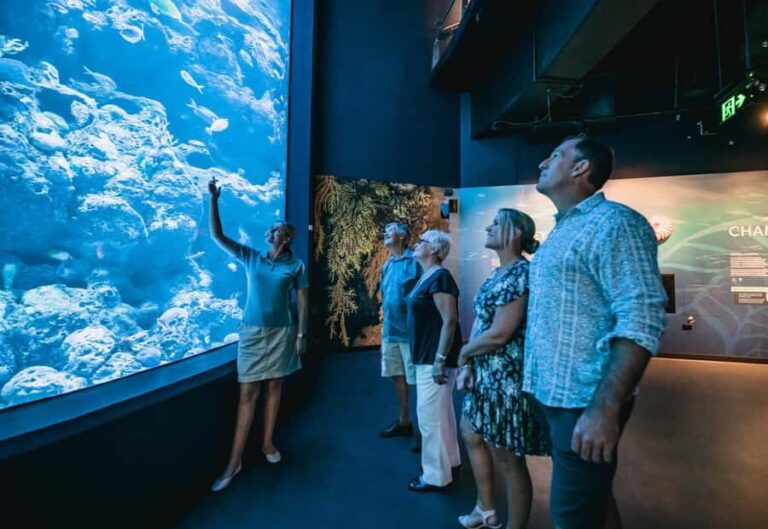 Cairns: Night at the Aquarium Guided Tour & 2 Course Dinner - What to Expect and How It All Unfolds