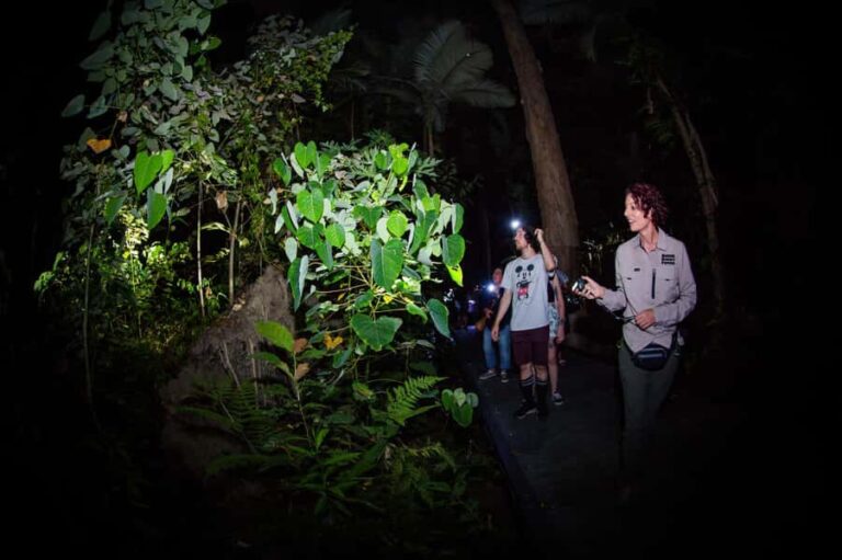 Cairns: Night Walk in Cairns Botanic Gardens - What to Expect from the Night Walk