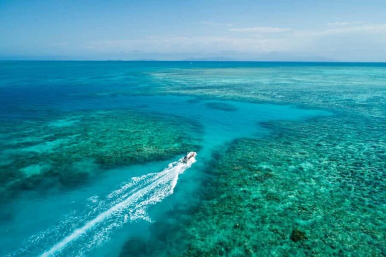 Cairns: Outer and Coral Cay Snorkel and Dive Cruise - What It Means for You