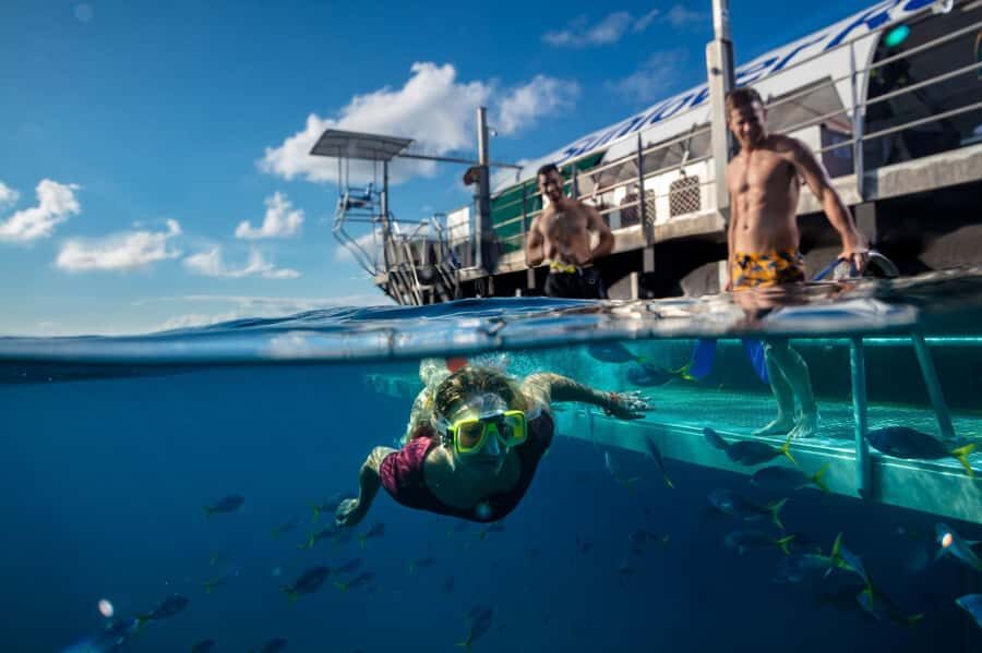 Cairns: Outer Great Barrier Reef Pontoon with Activities - The Real Experience: What Travelers Say
