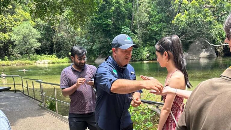 Cairns: Paronella Park Rainforest Full-Day Tour with Dinner - What Travelers Say