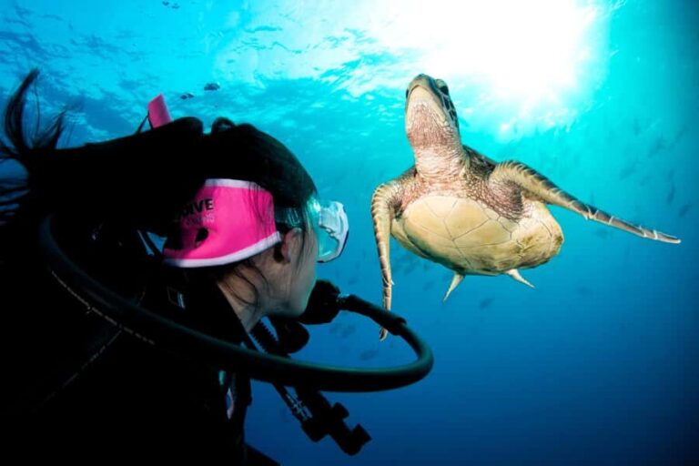 Cairns: Pro Dive 5 Day Learn to Dive Great Barrier Reef - Authentic Insights from Travelers