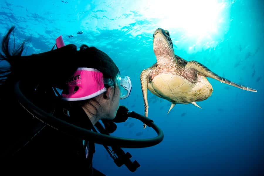 Cairns: Pro Dive 5 Day Learn to Dive Great Barrier Reef - Authentic Insights from Travelers
