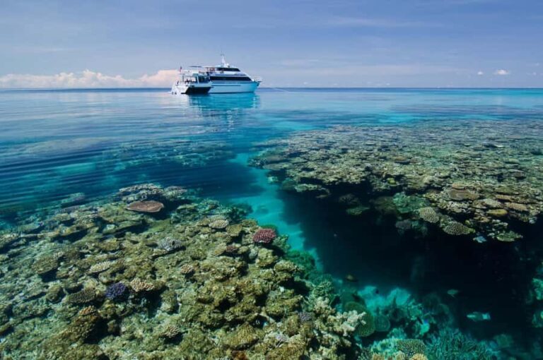Cairns: Pro Dive Great Barrier Reef 3 Day/2 Night Dive Trip - Authentic Voices: What Travelers Say