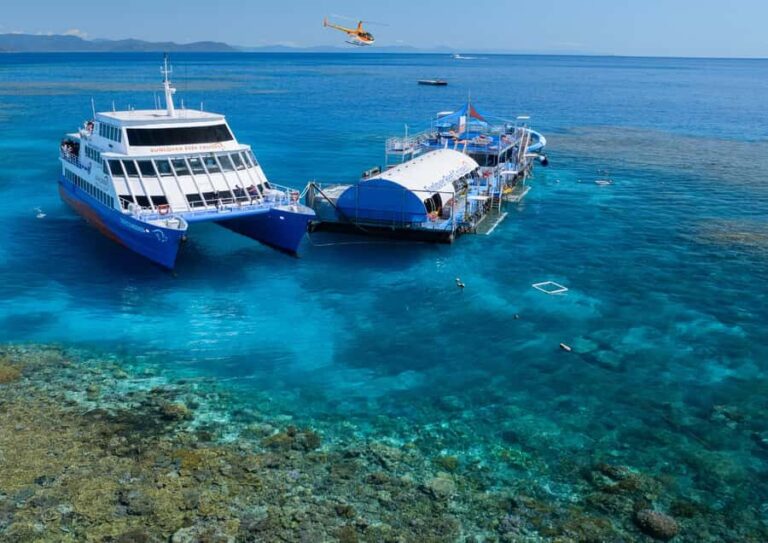 Cairns: Reef Zoom Half Day Helicopter & Snorkeling Tour - The Itinerary in Detail