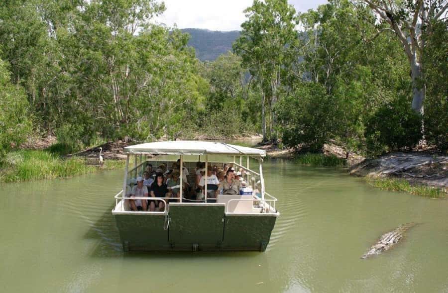 Cairns Shore Excursion: Crocodile & Wildlife Park Tour - The Crocodile & Wildlife Experience: Why it Matters