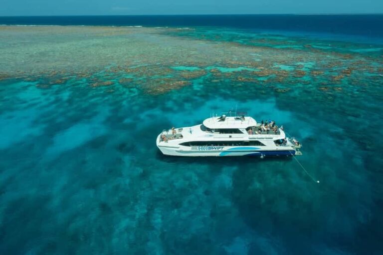 Cairns: Silverswift 3 Great Barrier Reef Sites in 1 Day - What Makes This Tour Stand Out?