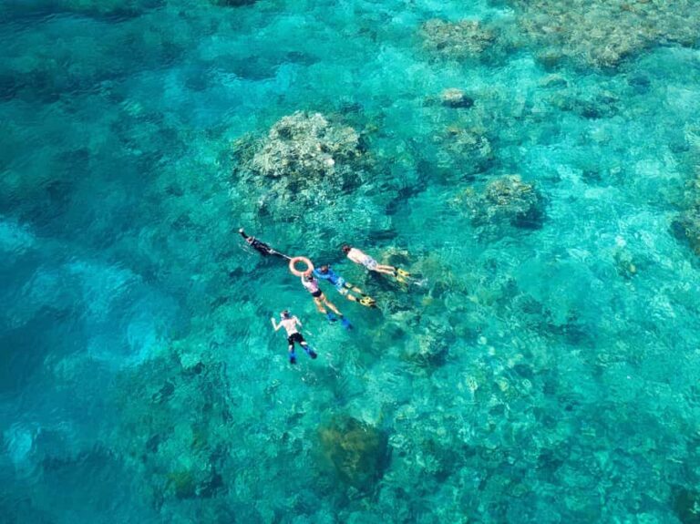 Cairns: Snorkelling and Diving Reef Day Trip - What Makes the Reef Locations Special?