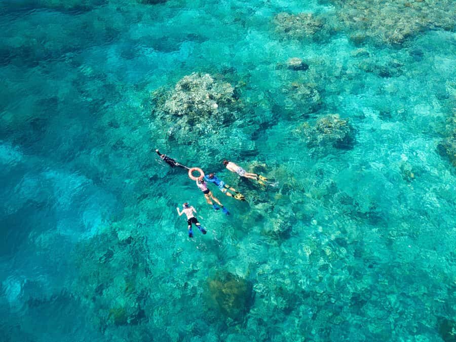 Cairns: Snorkelling and Diving Reef Day Trip - What Makes the Reef Locations Special?