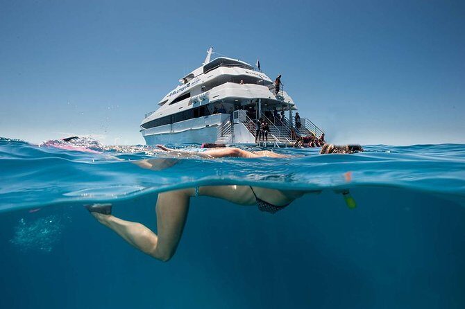 Cairns Super Saver: Reef Cruise, Daintree & Kuranda Rail/Skyrail - Practical Details and Considerations