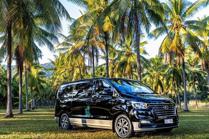 Cairns to Daintree Eco Lodge ONE WAY Private Transfer 6 pax - Final Thoughts: Is This Transfer Right for You?