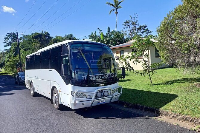 Cairns to Port Douglas Private Transfer - Why Consider This Transfer?