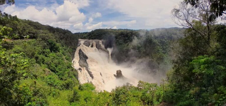 Cairns: Waterfall, Wetlands and Skyrail - Practical Details and Value