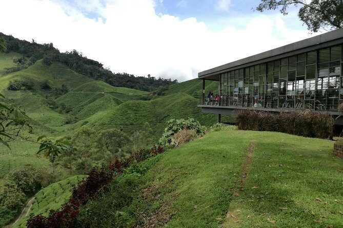 Cameron Highlands, Garden of Nature Full Day Private Guided Tour - Real Traveler Feedback: What’s Working Well and What Could Improve