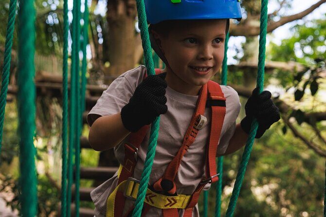 Canberra Junior Tree Ropes Course - Deep Dive: The Experience in Practice
