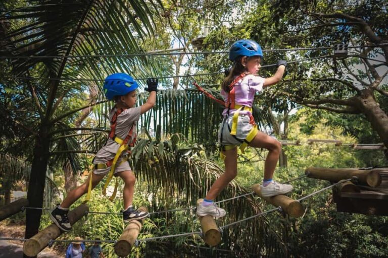 Canberra: Majura Pines Junior Tree Ropes Course - The Value Proposition