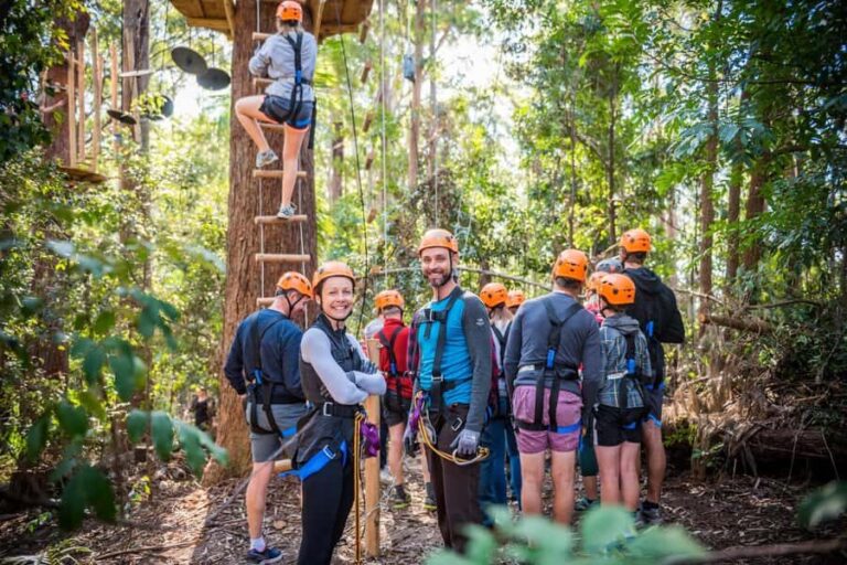Canberra: Majura Pines Tree Ropes Course - The Itinerary and What to Expect