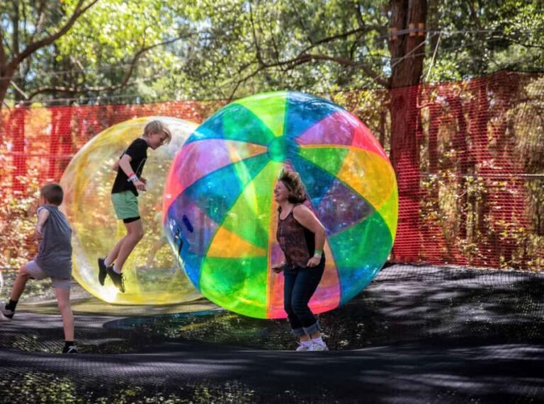 Canberra: Networld Treetop Adventure - What to Expect During Your Visit