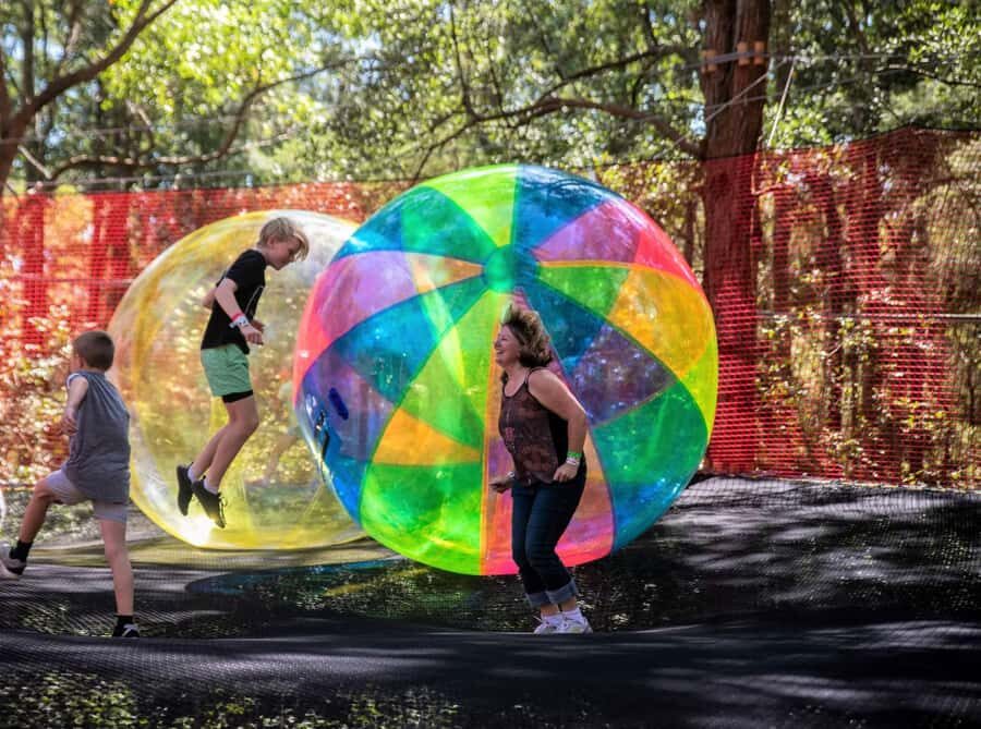 Canberra: Networld Treetop Adventure - What to Expect During Your Visit