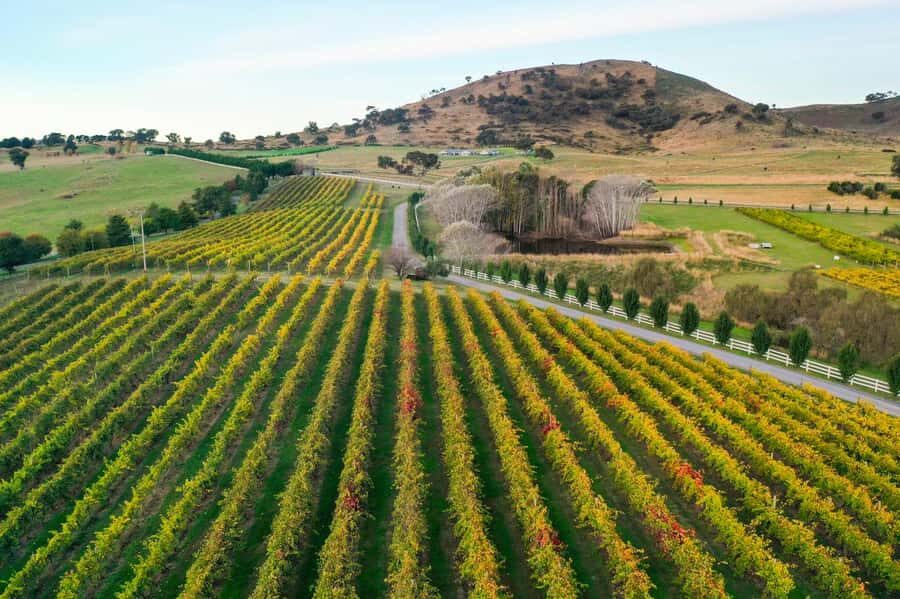 Canberra: Private Wine Discovery Tour with Lunch - What Makes This Tour Stand Out?