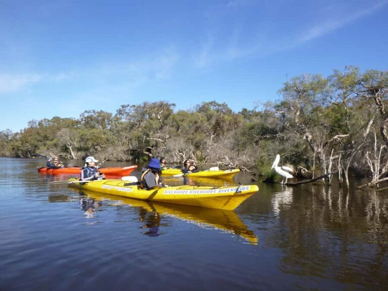 Canning River Half-Day Kayak Wildlife Tour - A Detailed Look at the Itinerary