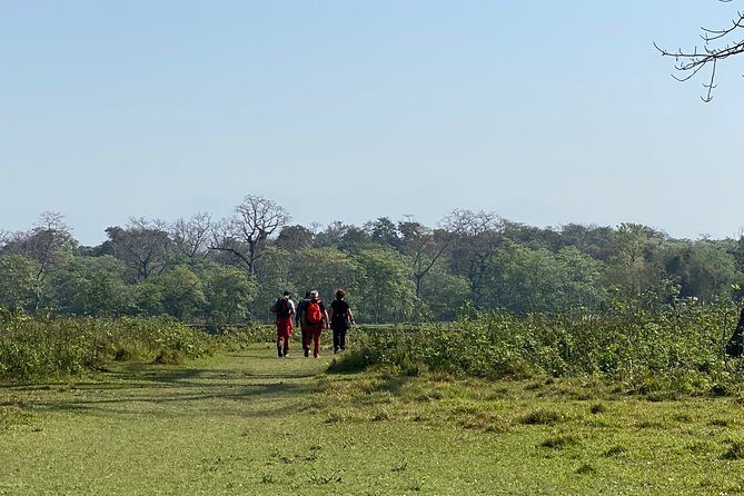 Canoeing and Nature walk in Chitwan National Park - An Overview of the Experience