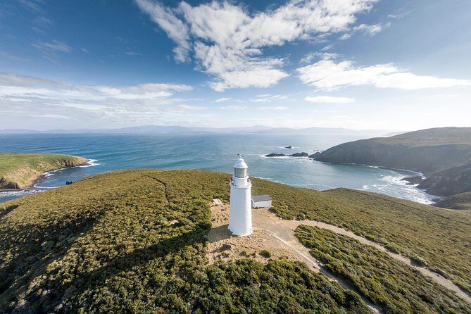 Cape Bruny Lighthouse Tour - Bruny Island - Why This Tour Offers Real Value