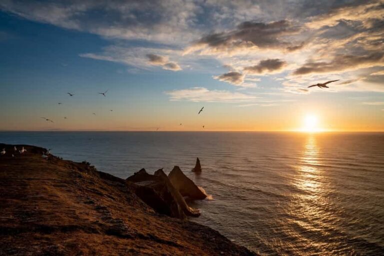 Cape Kidnappers: Gannet Colony Exclusive Sunrise Tour - Final Thoughts: Is It Worth It?