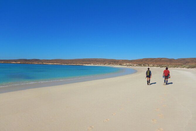 Cape Range National Park Full-Day Trekking Adventure - What You Can Expect in Terms of Walks and Terrain