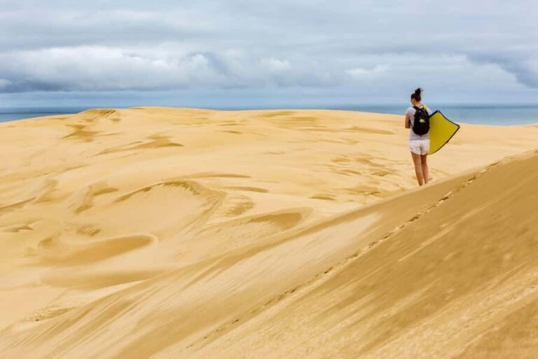 Cape Reinga: Day Trip from Paihia, Kerikeri, or Kaitaia - An In-Depth Look at the Tour Experience