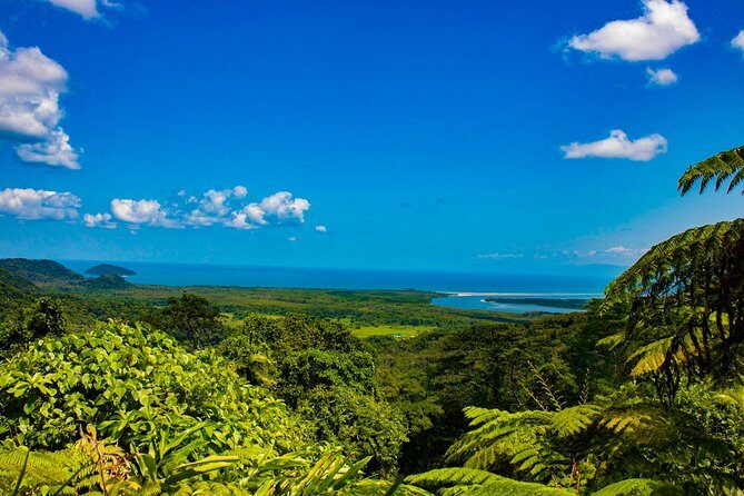 Cape Tribulation Day Tour - First Stop: Daintree National Park