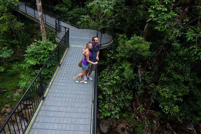 Cape Tribulation, Mossman Gorge and Daintree Rainforest Day Tour - The Practicalities: Transportation, Pricing, and Booking