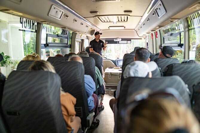 Cape Tribulation, Mossman Gorge, and Daintree Rainforest Day Trip - The experience and value