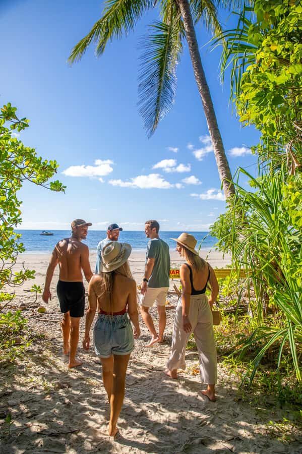 Cape Tribulation Ocean Safari - Great Barrier Reef Adventure - The Value of This Tour